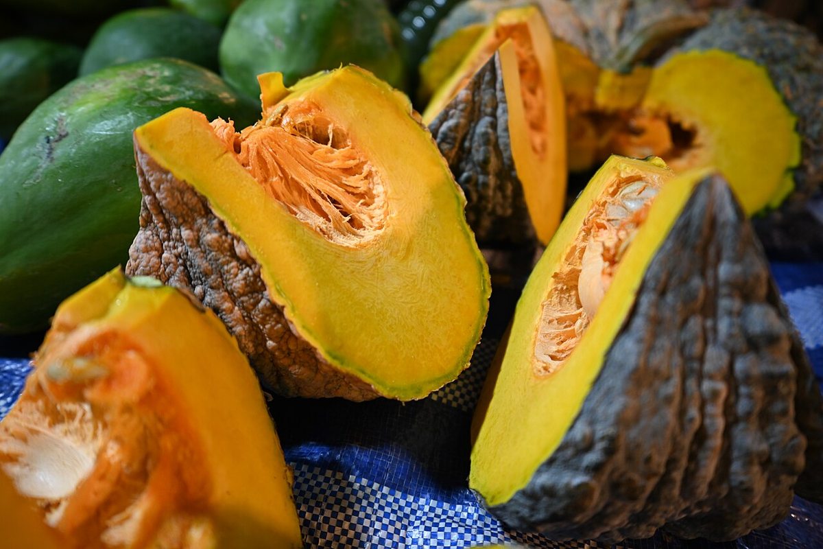 Kabocha Squash growing. Photo for the kabocha squash growing guide
