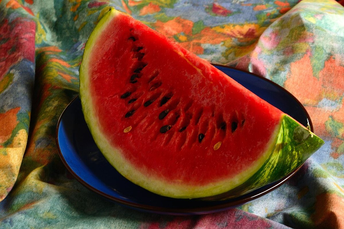 Watermelon growing. Photo for the watermelon growing guide