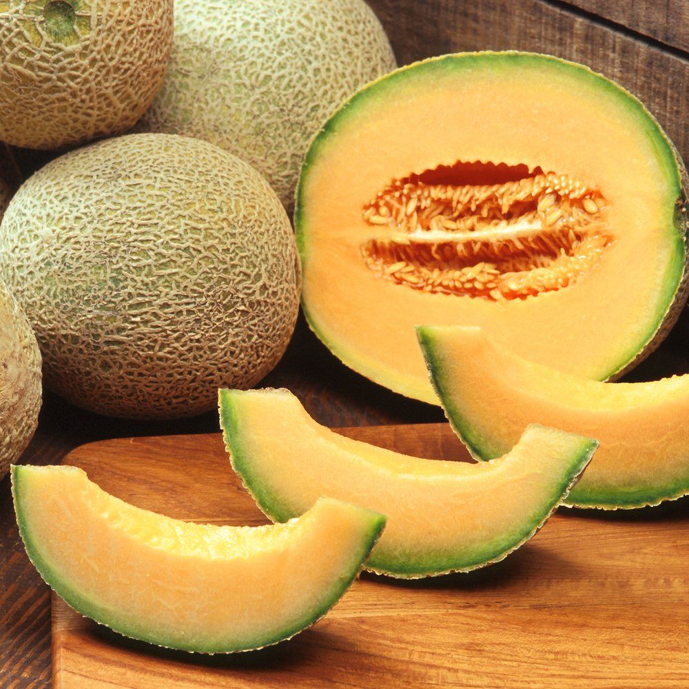 Cantaloupe / Melon plant: Cucurbitaceae crop profile photo