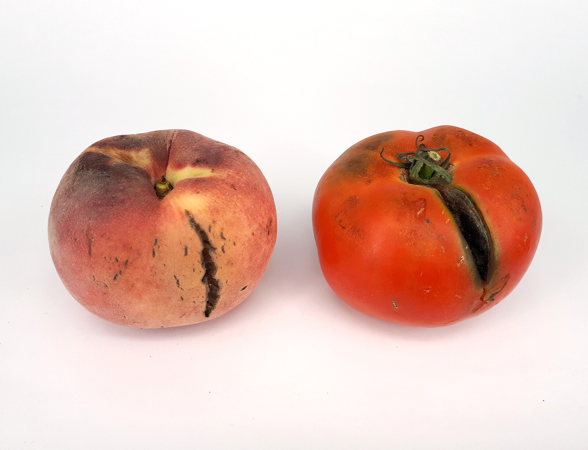 Fruit cracking symptoms