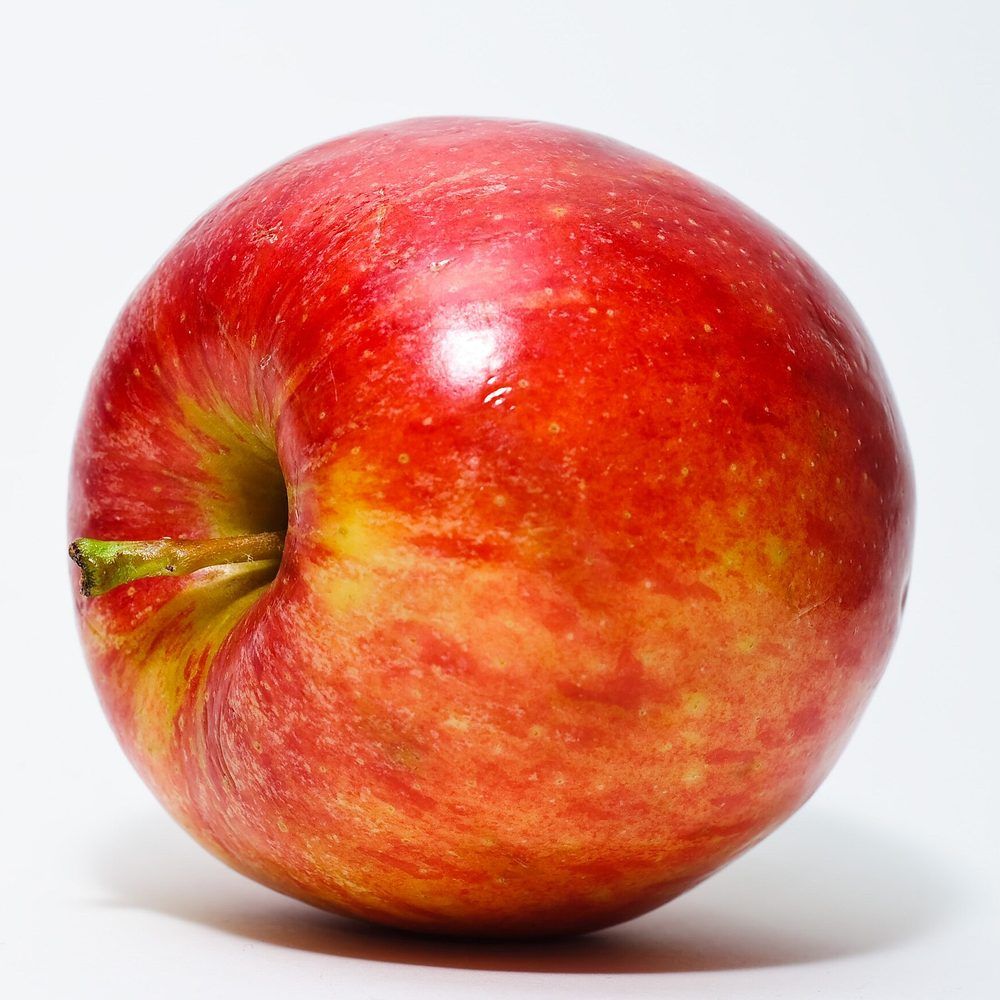 Apple plant: Rosaceae crop profile photo