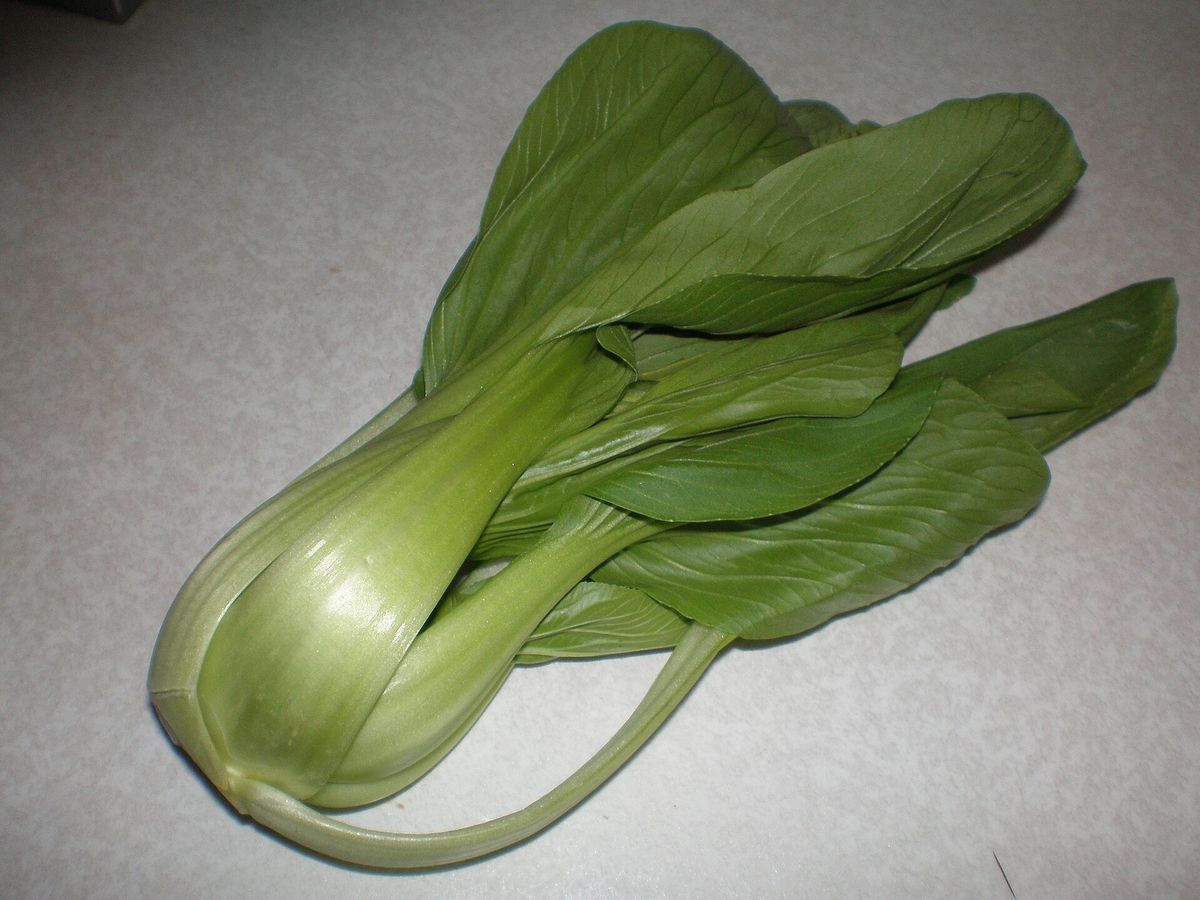 Bok Choy plant: Brassicaceae crop profile photo